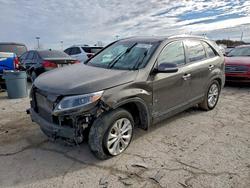KIA salvage cars for sale: 2014 KIA Sorento ex