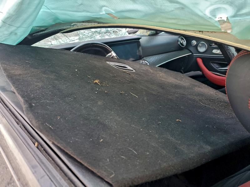 2019 Mercedes-Benz E amg 53