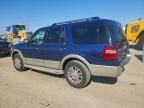 2010 Ford Expedition Eddie Bauer