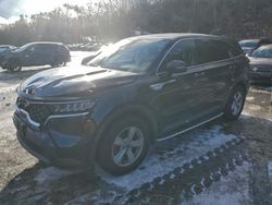 KIA Sorento salvage cars for sale: 2022 KIA Sorento lx