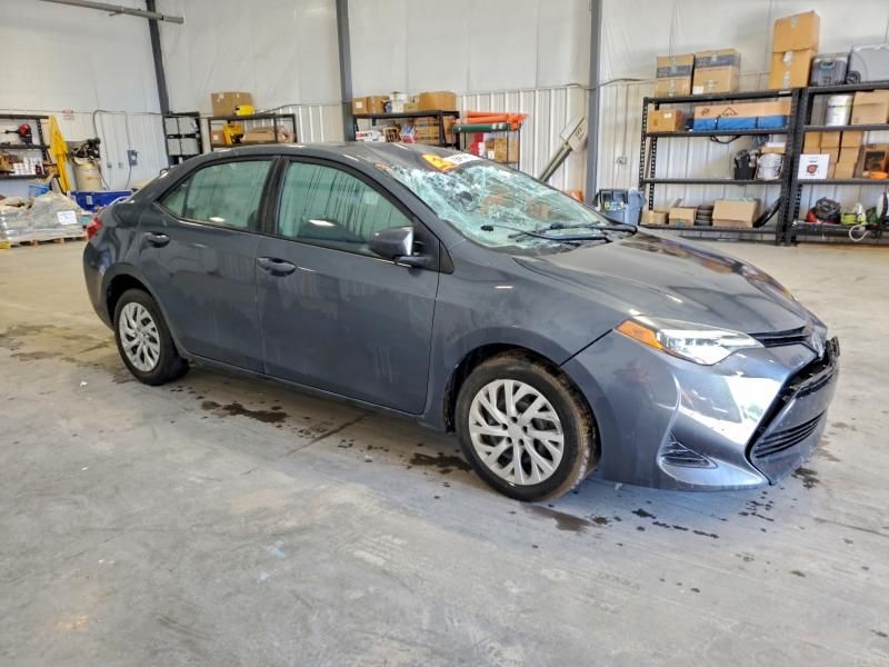 2019 Toyota Corolla l