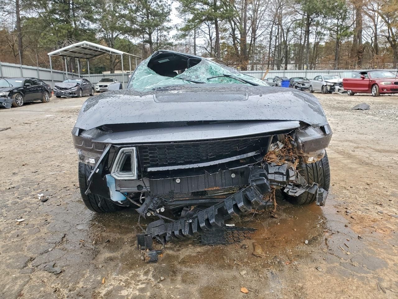 2025 Ford Mustang gt