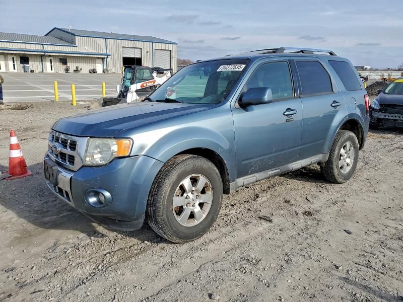 2011 Ford Escape Limited