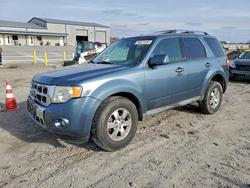 Ford Escape salvage cars for sale: 2011 Ford Escape Limited
