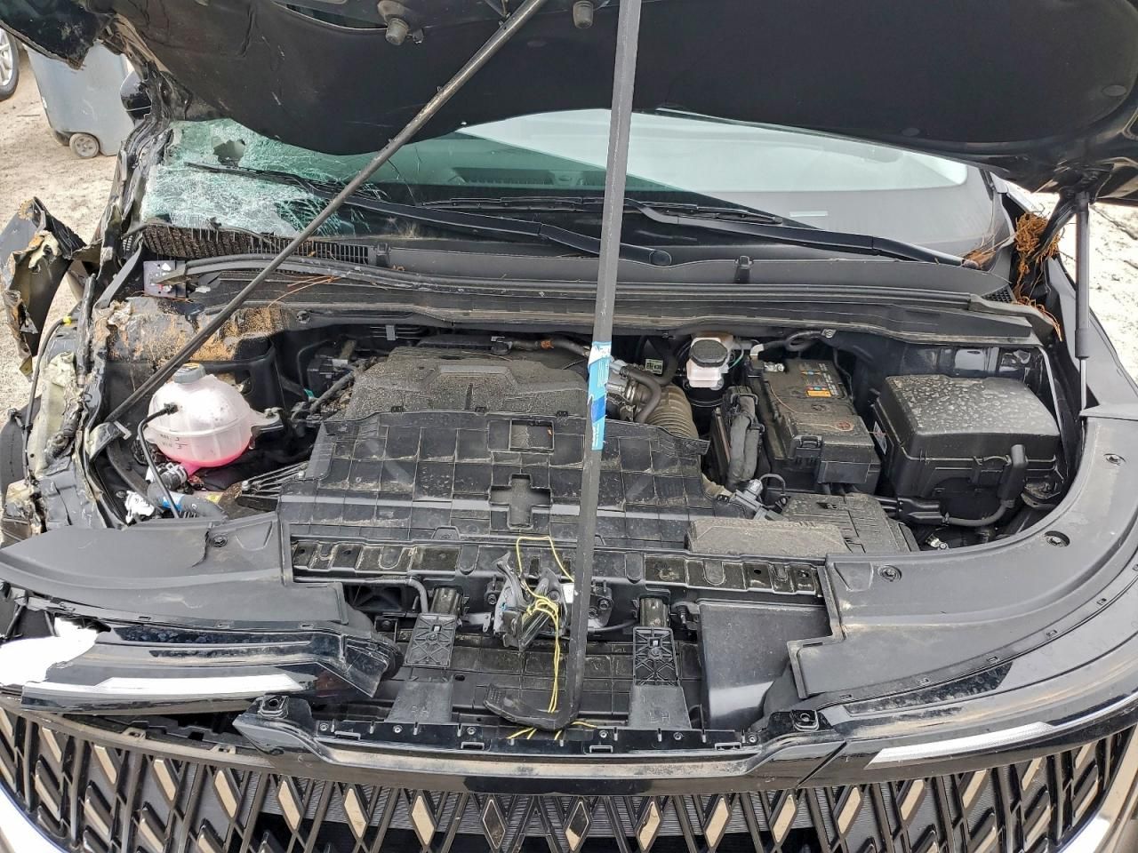 2025 KIA Carnival lx