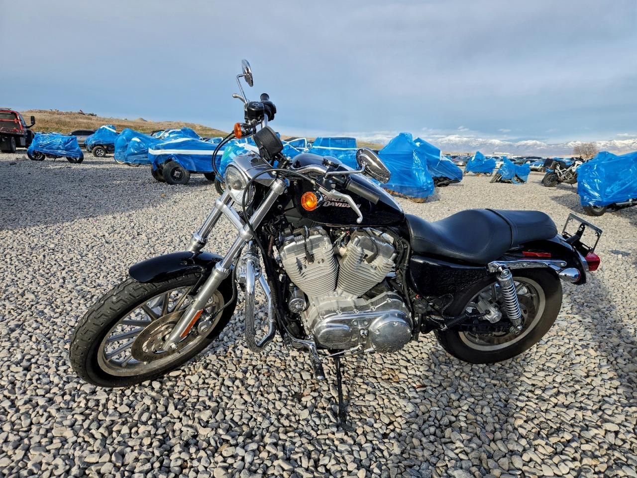 2008 Harley-Davidson XL883