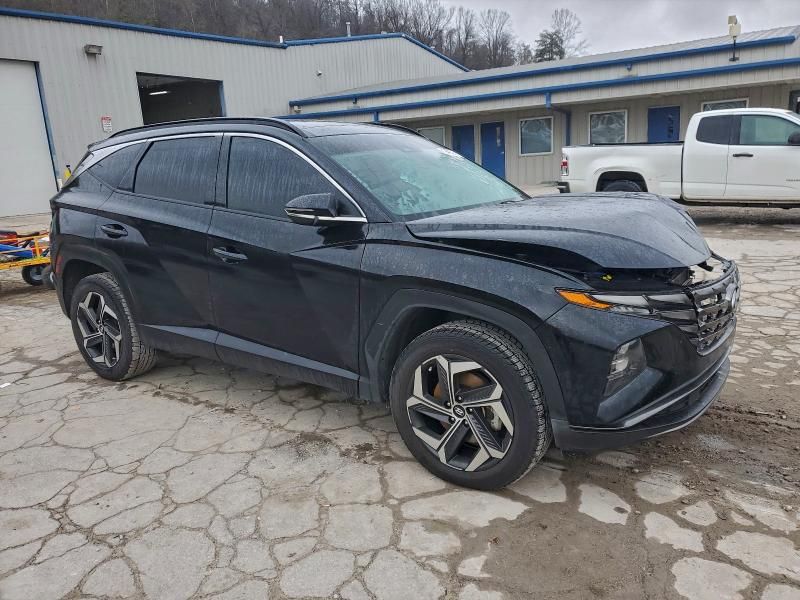 2024 Hyundai Tucson Limited