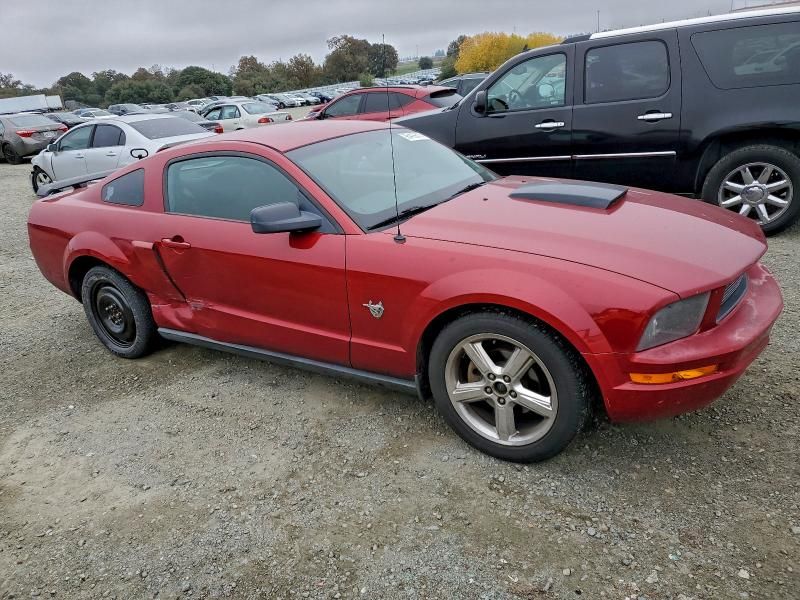 2009 Ford Mustang