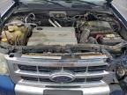 2008 Ford Escape hev