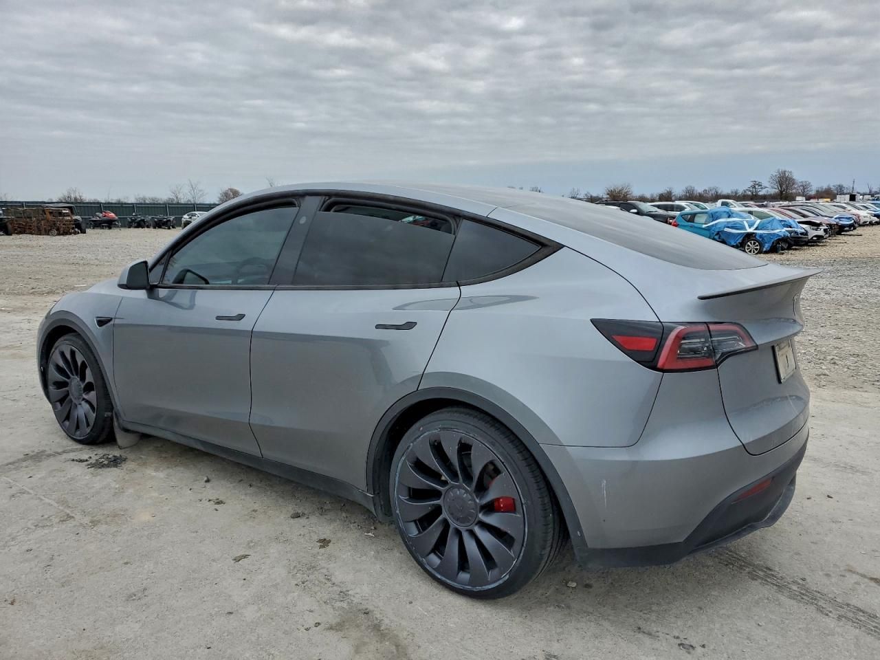 2024 Tesla Model y