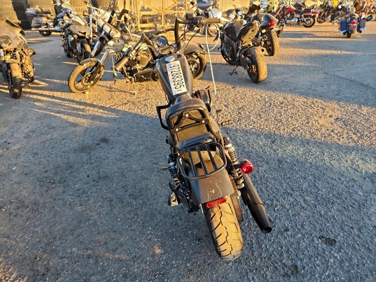 2022 Harley-Davidson XL883 N