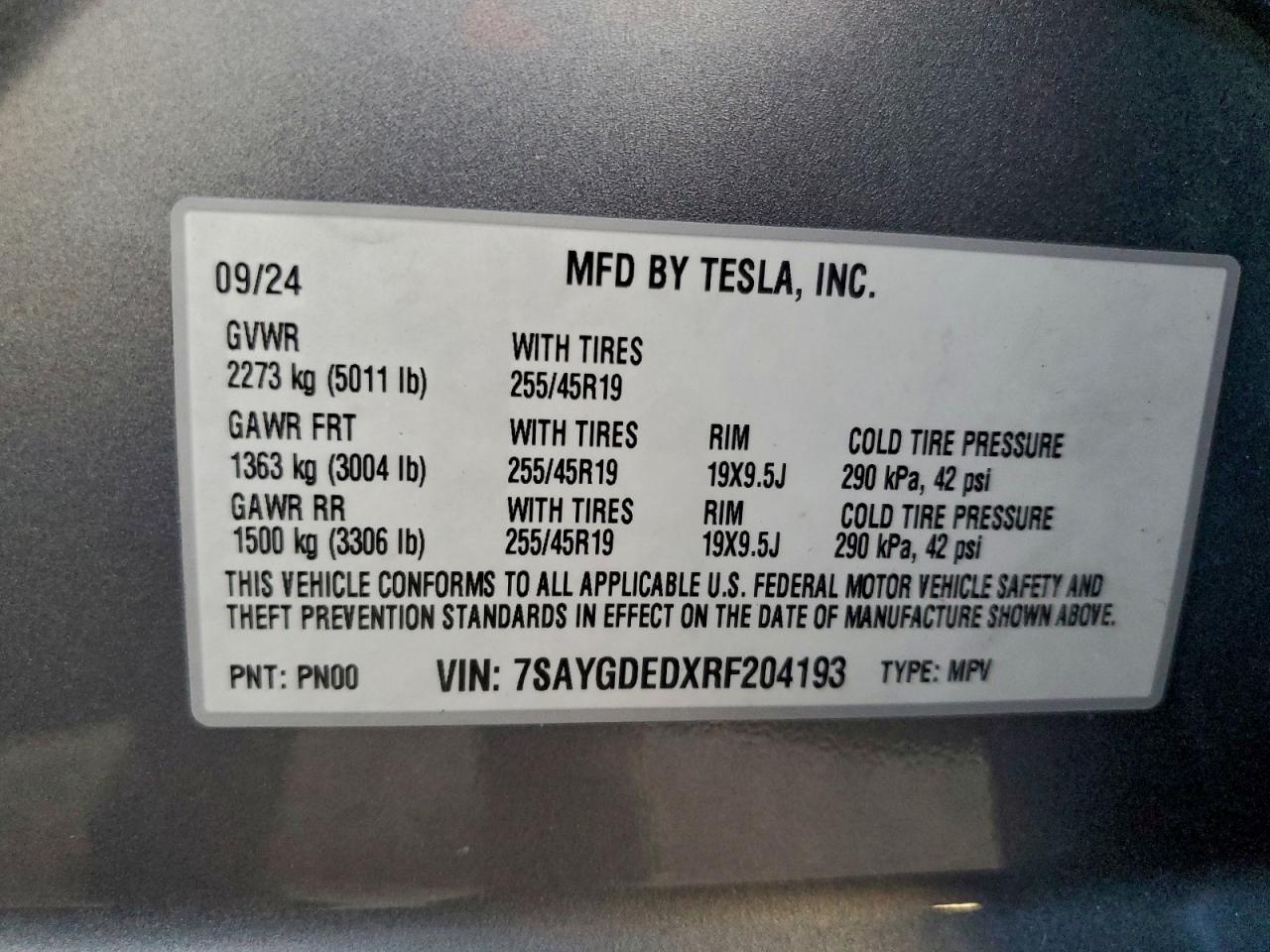 2024 Tesla Model y