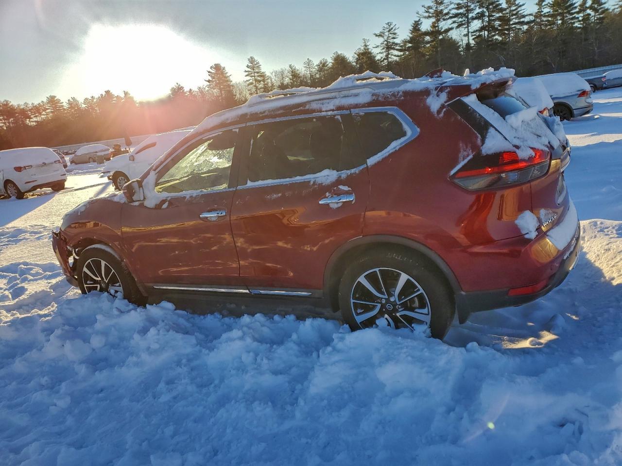 2020 Niss Rogue sl