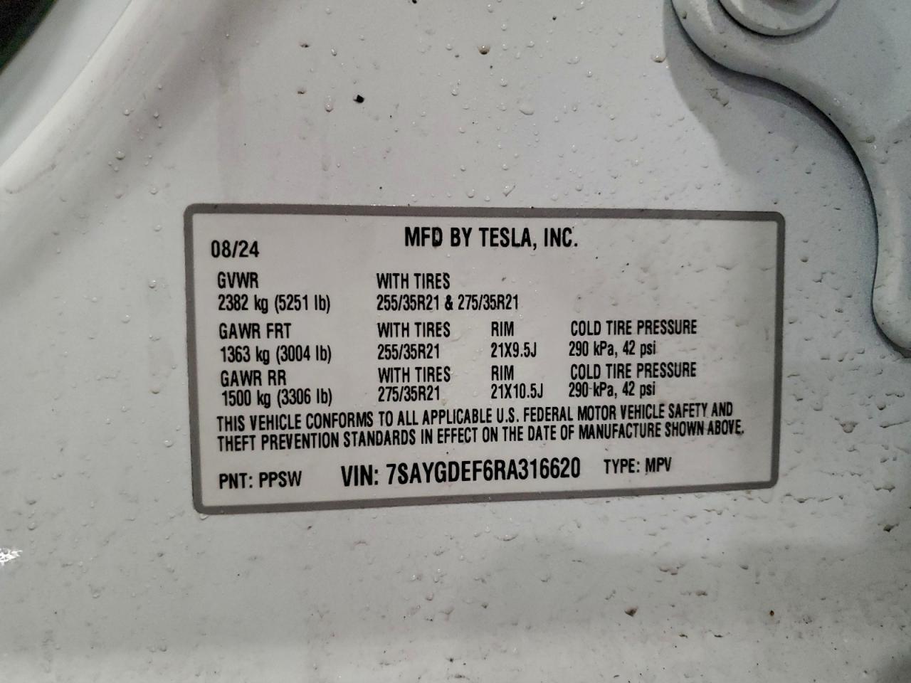 2024 Tesla Model y
