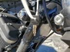 2020 Harley-Davidson XL883 N