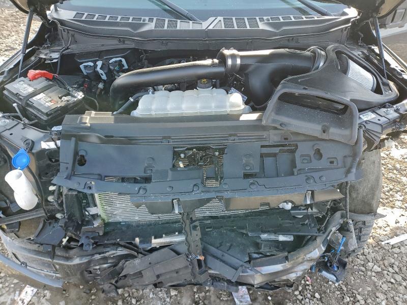 2024 Ford F150 xlt