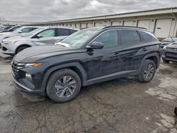 Hyundai Tucson salvage cars for sale: 2023 Hyundai Tucson Blue
