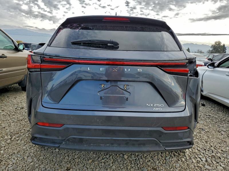2022 Lexus Nx 250