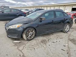 2015 Ford Focus se en venta en Louisville, KY