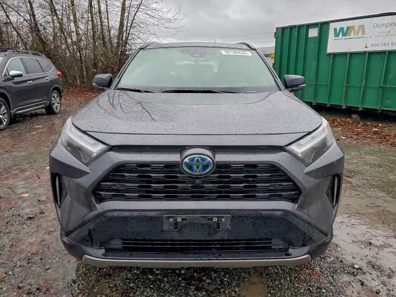 2023 Toyota Rav4 xse