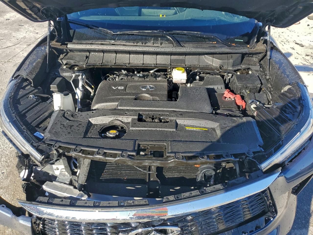 2024 Infiniti Qx60 Autograph