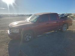 2008 Dodge Dakota Quad SLT en venta en Earlington, KY