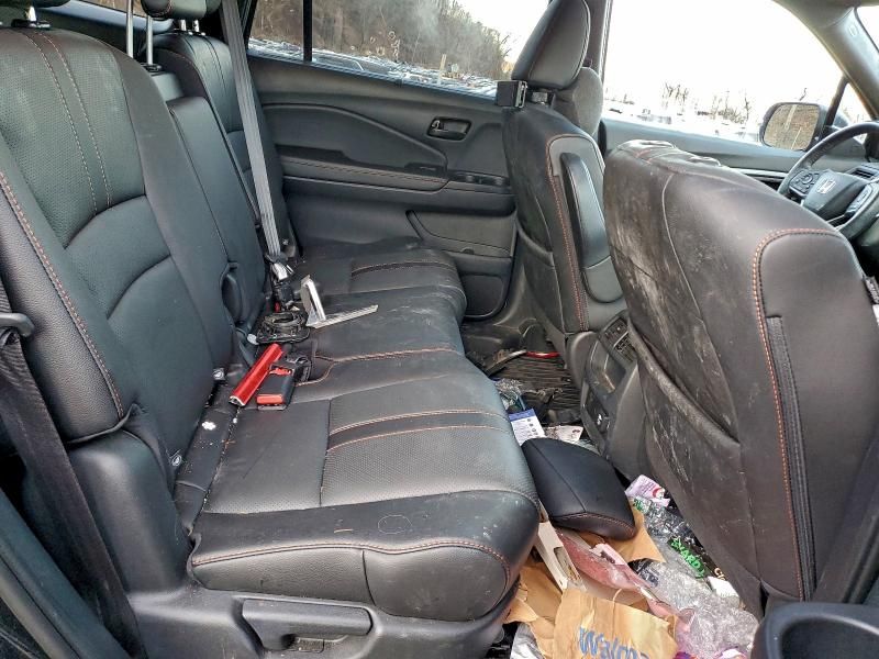 2023 Honda Passport Trail Sport