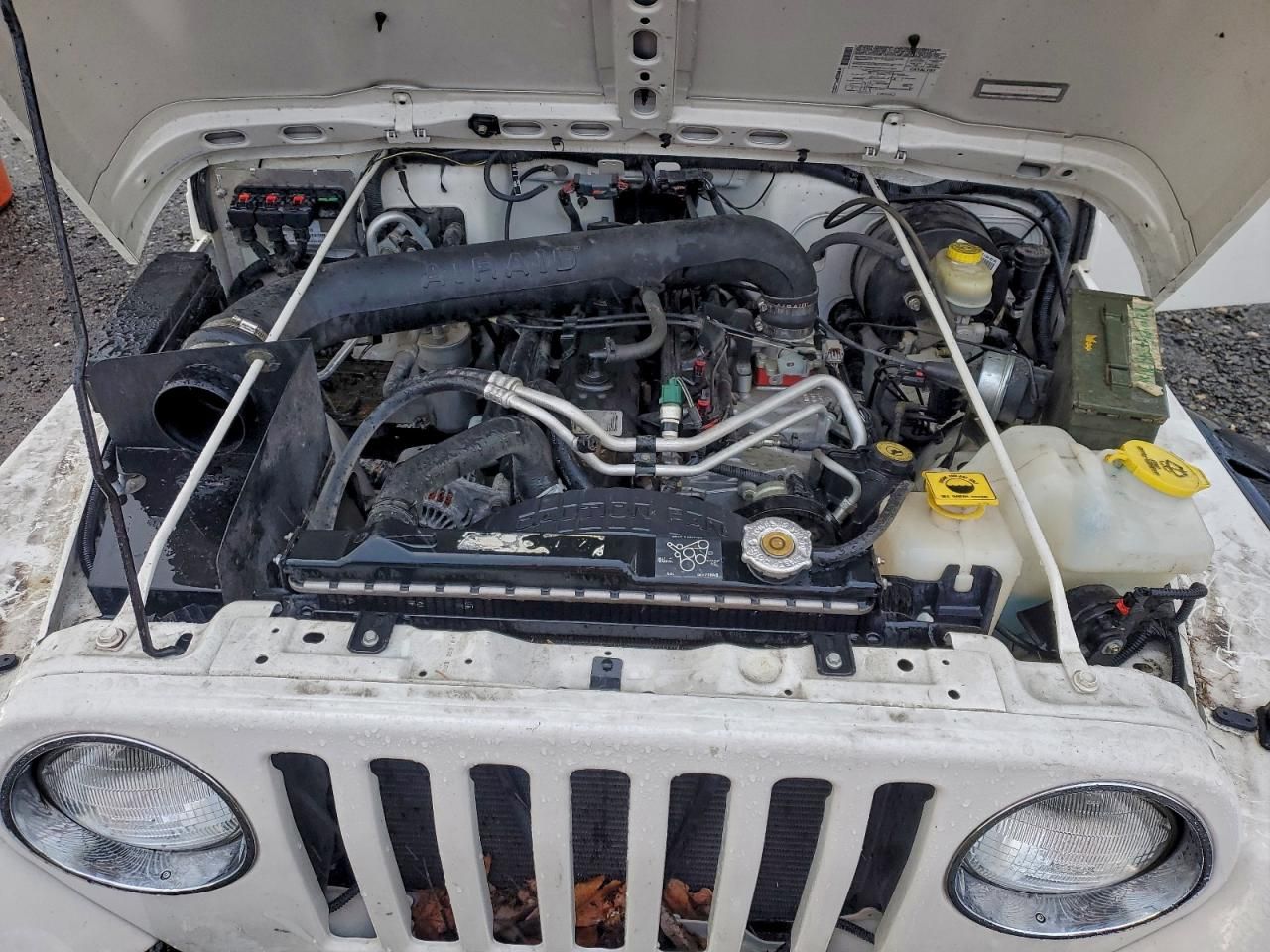 2005 Jeep Wrangler / tj Rubicon