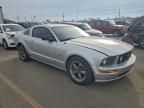 2006 Ford Mustang gt