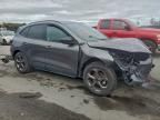 2025 Ford Escape st Line