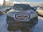 2011 Honda Pilot exl