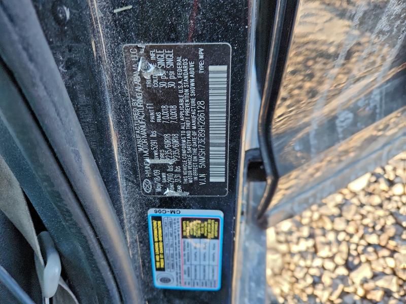 2009 Hyundai Santa fe se