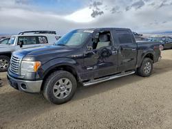 Ford salvage cars for sale: 2012 Ford F150 Supercrew