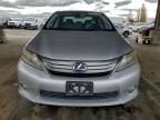 2010 Lexus Hs 250h