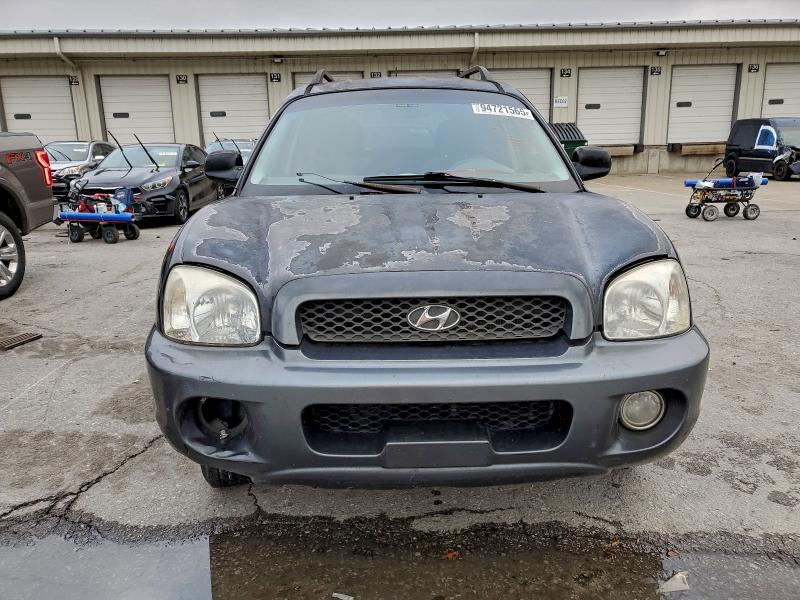 2004 Hyundai Santa fe gls