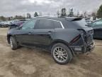 2014 Cadillac Srx Performance Collection