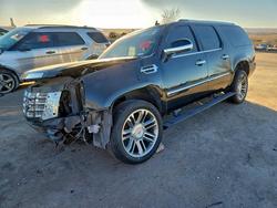 Cadillac salvage cars for sale: 2010 Cadillac Escalade esv Premium