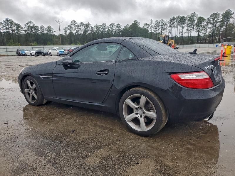 2013 Mercedes-Benz Slk 250