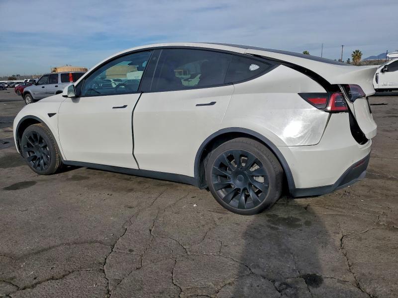 2020 Tesla Model y