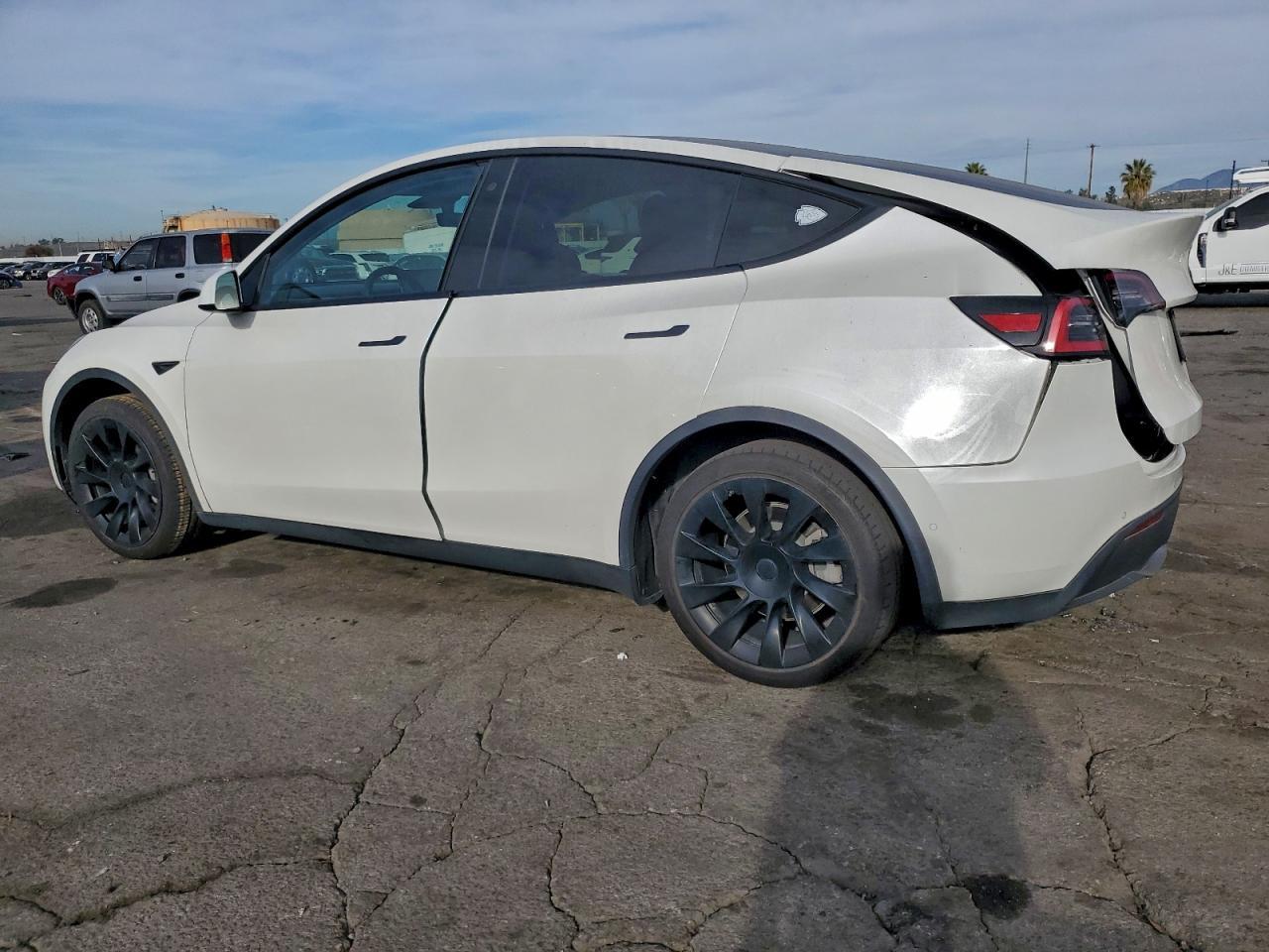 2020 Tesla Model y