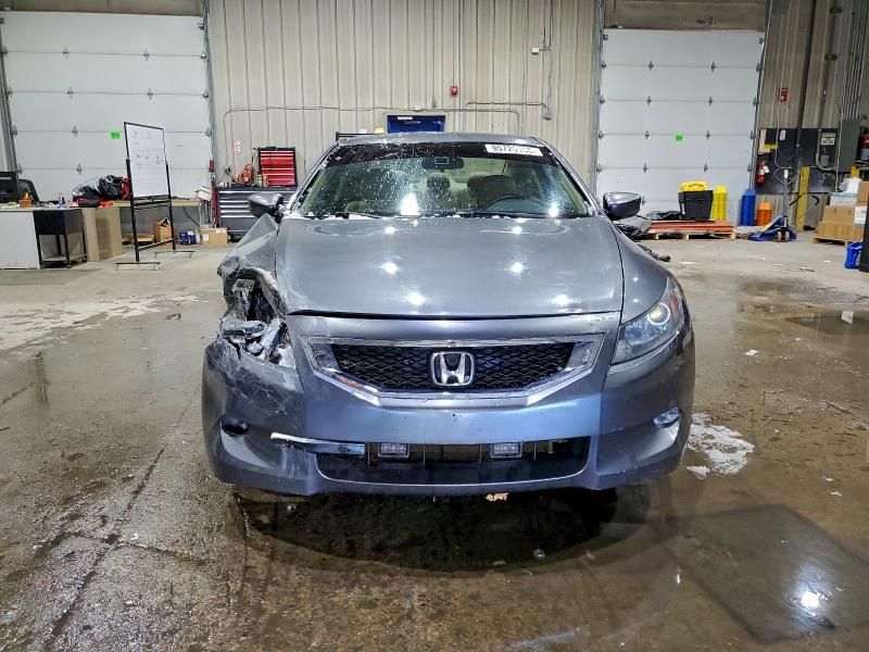2010 Honda Accord exl