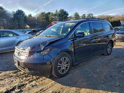 Honda salvage cars for sale: 2013 Honda Odyssey exl