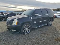 Salvage cars for sale from Copart Anderson, CA: 2013 Cadillac Escalade Luxury