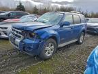 2008 Ford Escape hev