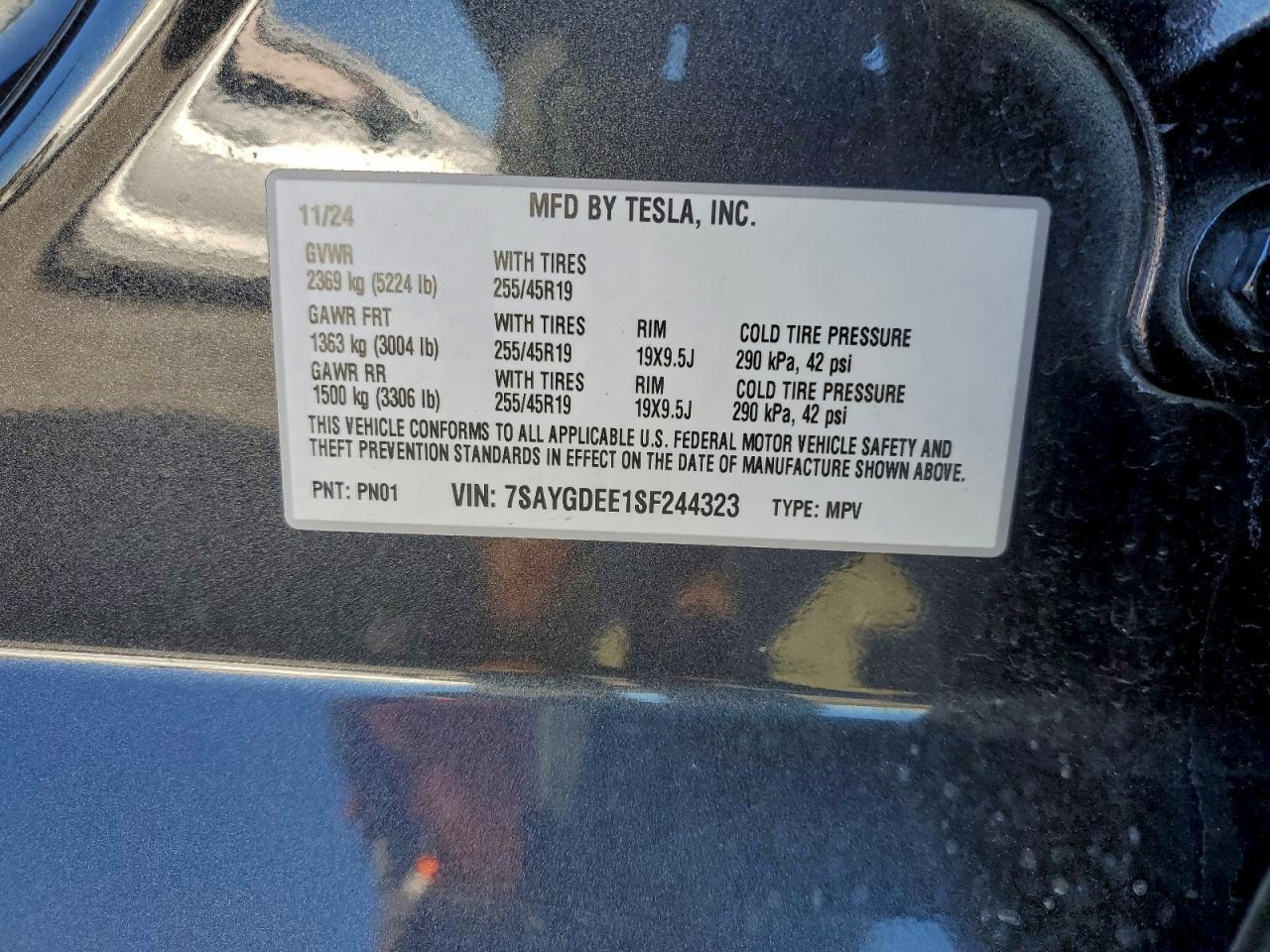 2025 Tesla Model y