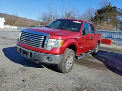 Ford salvage cars for sale: 2012 Ford F150 Supercrew