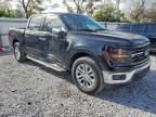 2024 Ford F150 xlt