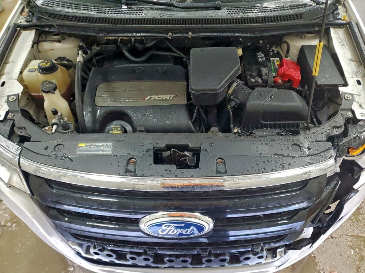 2013 Ford Edge Sport