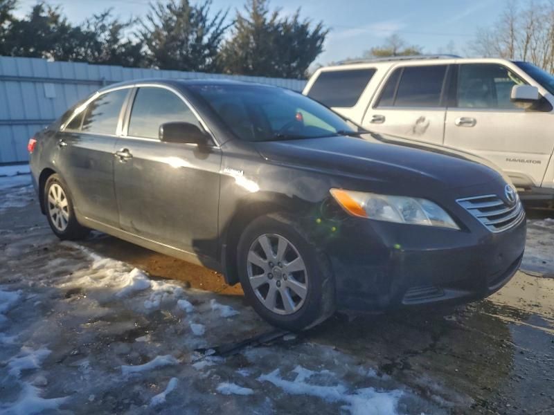 2009 Toyota Camry Hybrid