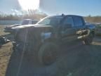 2024 GMC Sierra K1500 Elevation